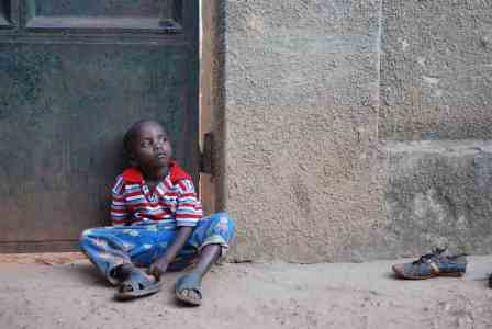 Breeding Opportunities - Oasis of Life, Kampala / Uganda